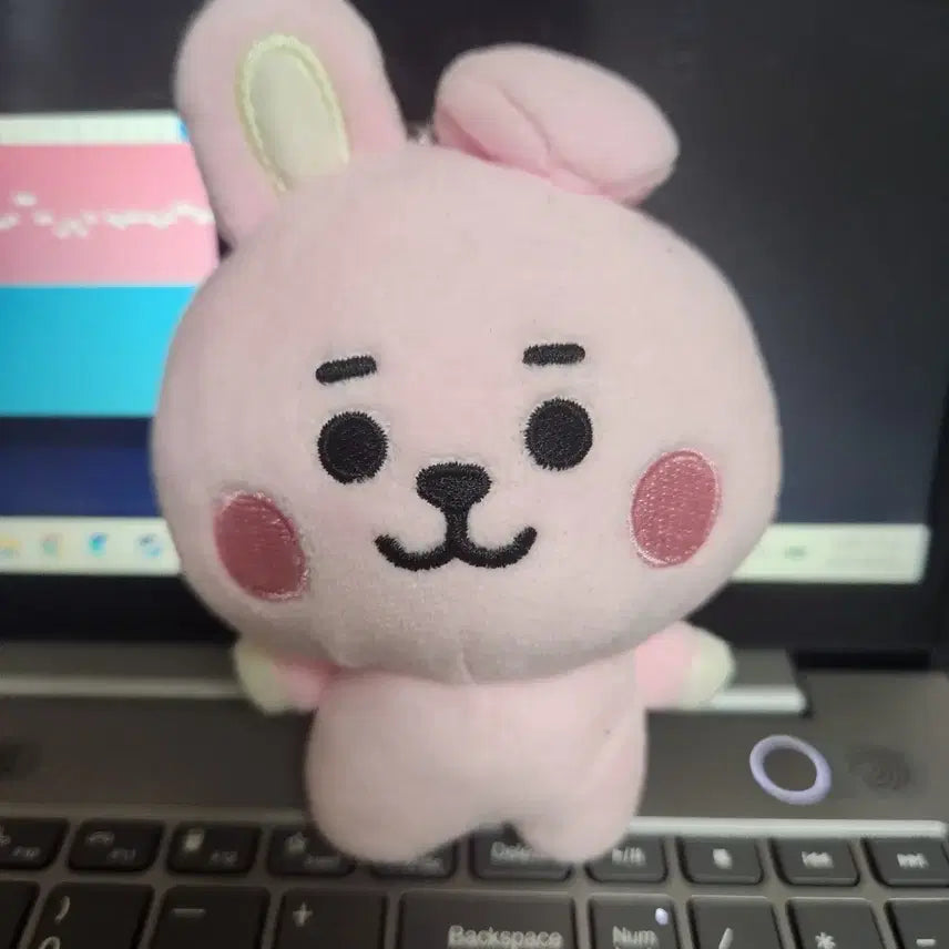 [BUNJANG] BTS 방탄소년단 BT21 쿠키 인형 키링 / BTS 방탄소년단 BT21 쿠키 인형 키링