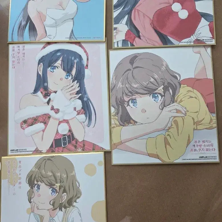 [BUNJANG] Seishun Buta Yarou Set of 5 Color Papers / 청춘돼지 색지 5종 일괄
