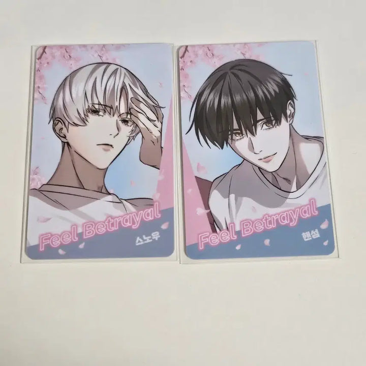 [BUNJANG] Snow Handsome Photocard Bundle Set / [정가이하] 격발 스노우 핸섬 포카