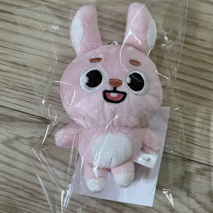 [BUNJANG] Day6 Denimals Baekcham Wonpil Item / (미개봉 새 상품) 데이식스 일본 MD 데니멀즈 백참 필 원필 day6