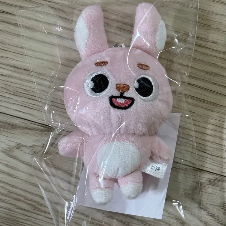 [BUNJANG] Day6 Denimals Baekcham Wonpil Item / (미개봉 새 상품) 데이식스 일본 MD 데니멀즈 백참 필 원필 day6