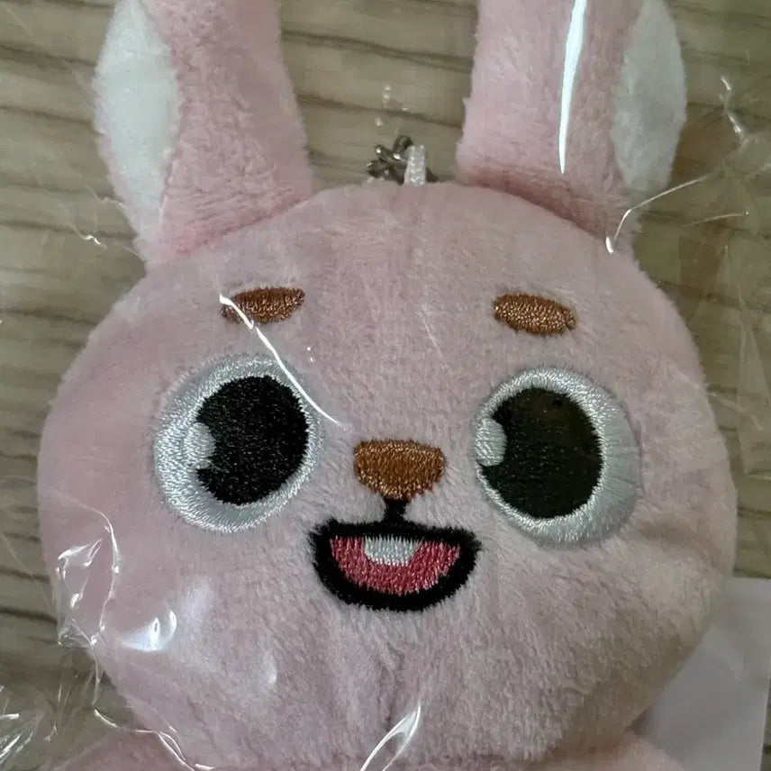 [BUNJANG] Day6 Denimals Baekcham Wonpil Item / (미개봉 새 상품) 데이식스 일본 MD 데니멀즈 백참 필 원필 day6