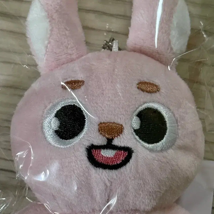 [BUNJANG] Day6 Denimals Baekcham Wonpil Item / (미개봉 새 상품) 데이식스 일본 MD 데니멀즈 백참 필 원필 day6