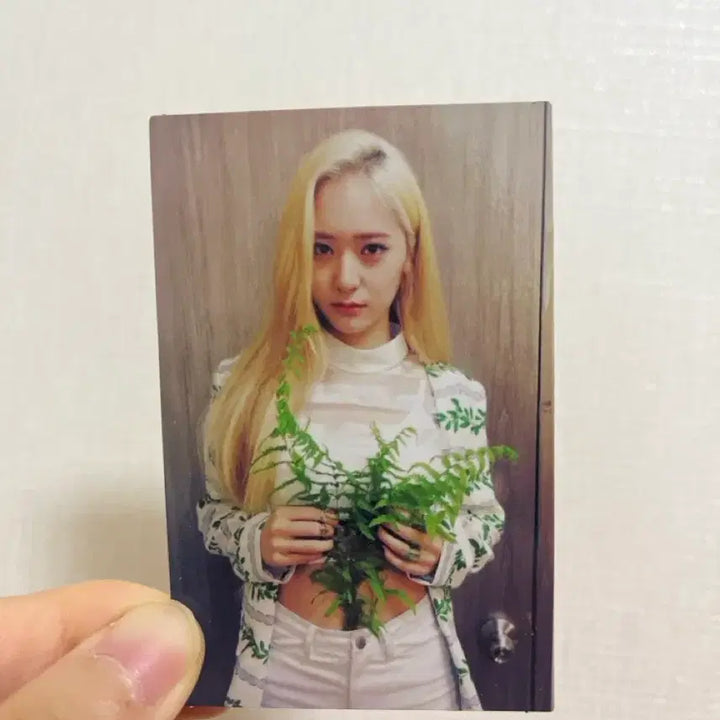[SOLD OUT] 크리스탈 red light 포토카드