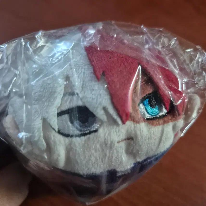 [SOLD OUT] 토도로키 쇼토 누이