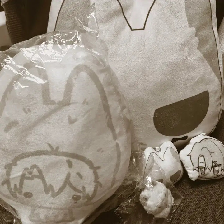 [BUNJANG] Lee Re Revolution Goods Bundle Set / 리레볼루션 ㄹㅇ님 굿즈 대량 판매