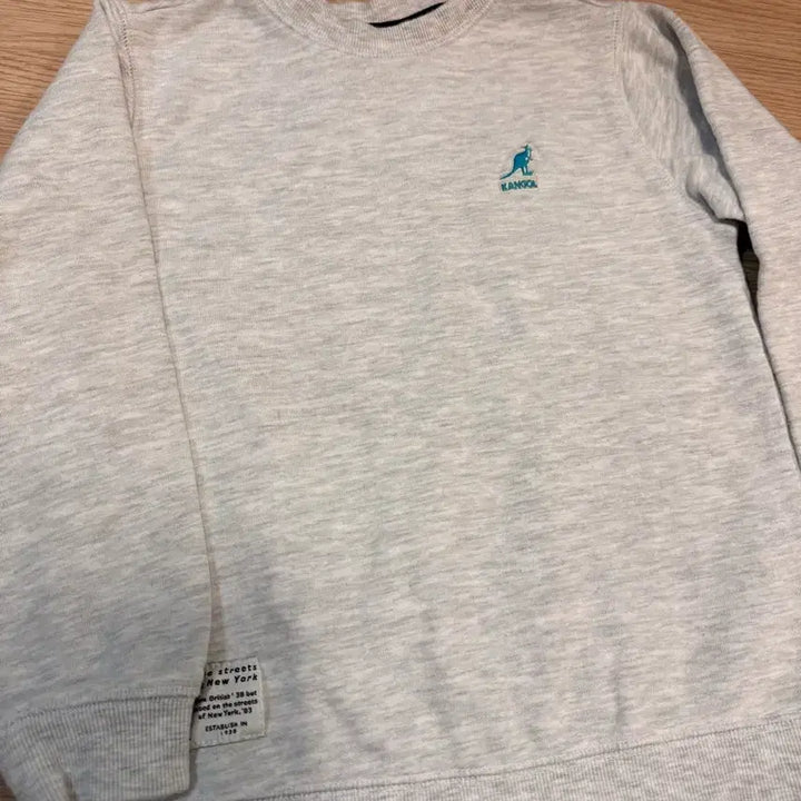 [BUNJANG] Kangol Kids Sweatshirt Size 120 / 캉골 아동 맨투맨 티 120 사이즈
