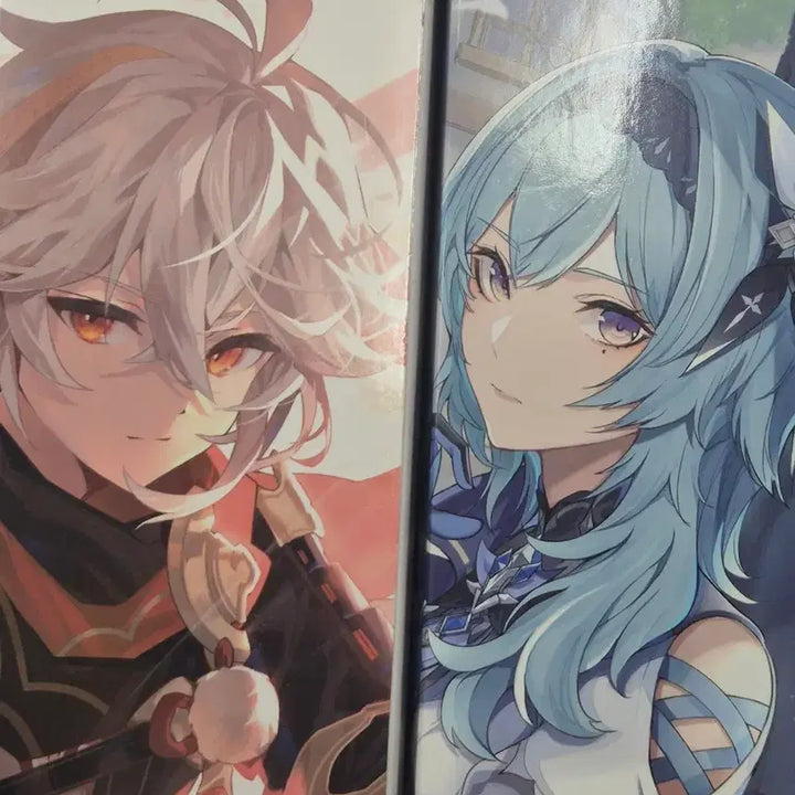 [BUNJANG] Genshin Impact Kazuha and Eula Wall Scroll / 원신 카즈하,유라 벽걸이