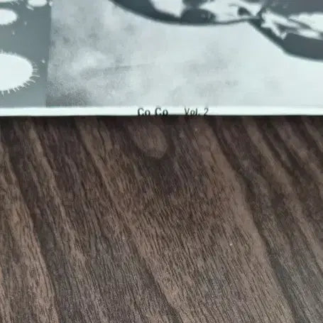 [BUNJANG] CoCo 2nd Album / CoCo 코코 2집- 94년 대영