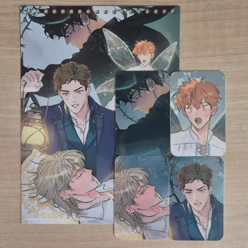 [BUNJANG] 100% Cleanup Backup Merhen Calendar Photocard Split Set Bundle / 백퍼센트 클린업 백클업 봄툰 메르헨 시그 포카 달력 분철 세트 일괄