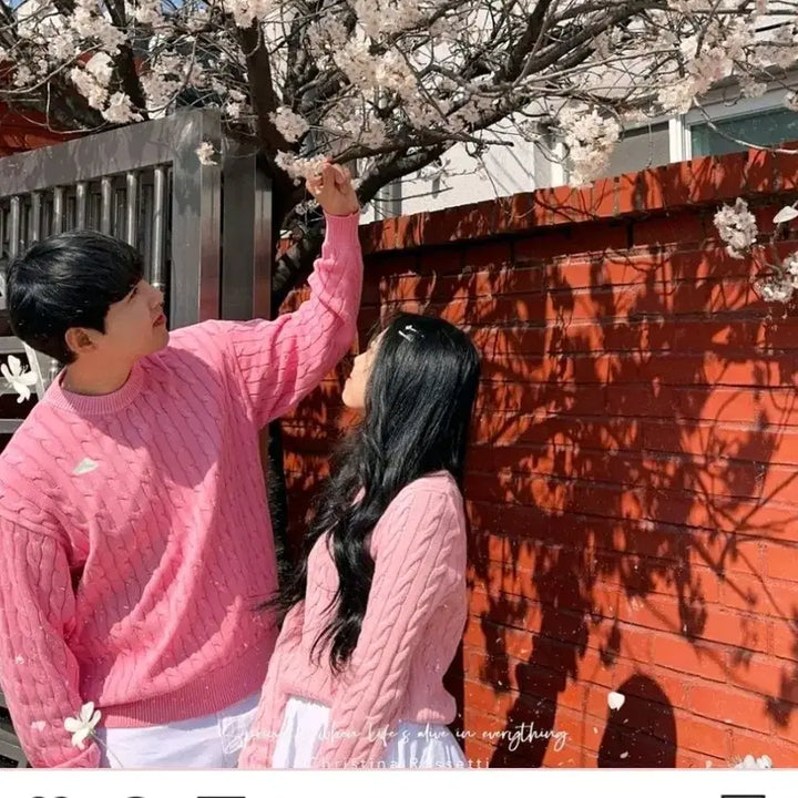 [BUNJANG] Mongshel Couple Semi-Crop Cable Knit Top / 봄 커플 시밀러룩 몽쉘커플 세미크롭 케이블 니트 피크먼트 오버핏  벚꽃