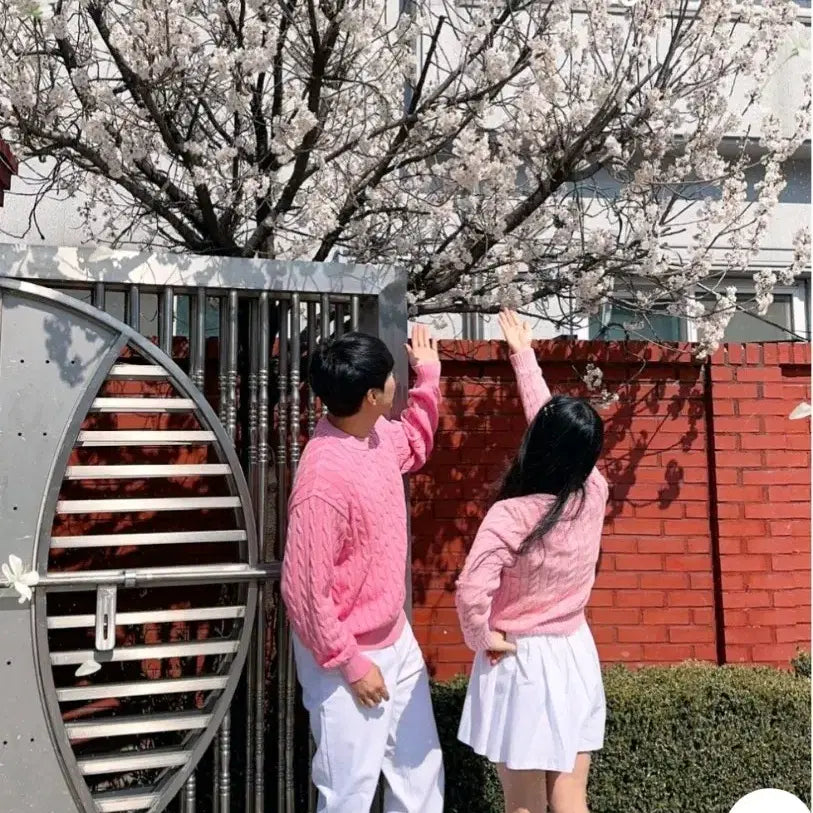 [BUNJANG] Mongshel Couple Semi-Crop Cable Knit Top / 봄 커플 시밀러룩 몽쉘커플 세미크롭 케이블 니트 피크먼트 오버핏  벚꽃