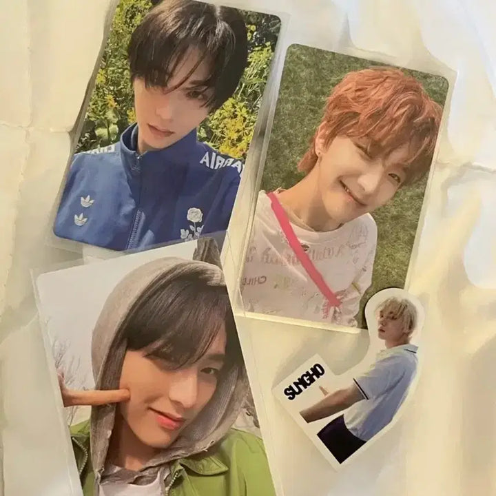 [SOLD OUT] 보넥도 노장르 프레임버전 운학태산 who태산 일괄