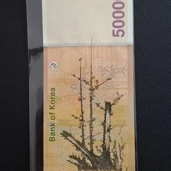 [BUNJANG] Wonbong Radar 2220222 Special Number Banknote / 오만원  원봉레이더 2220222 특이번호