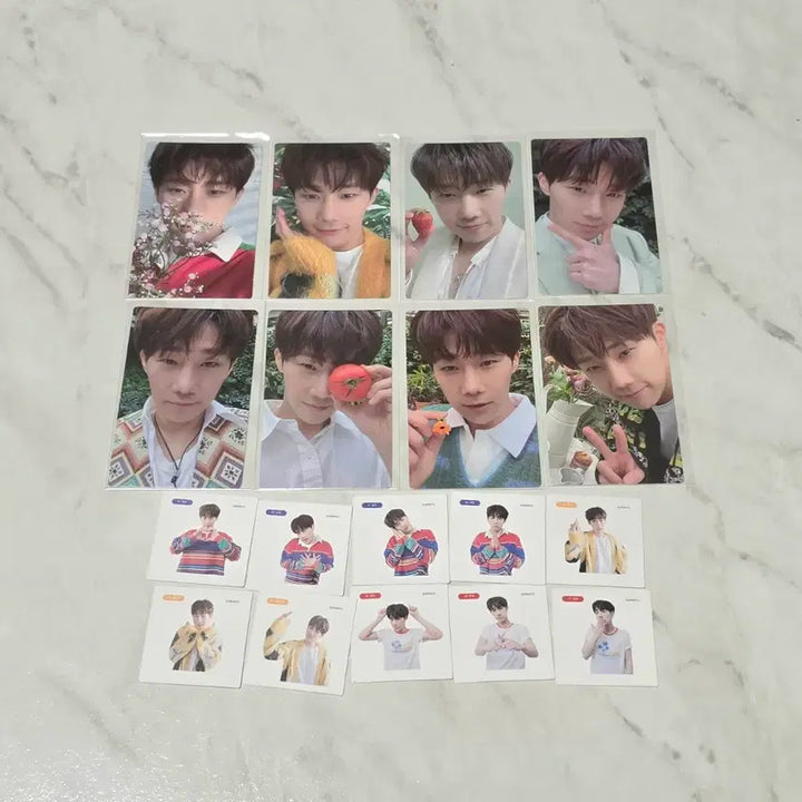 [BUNJANG] Kim Sung Kyu Savior Album Photocard Bundle Set / 김성규 성규세이비어 앨범 포토카드 포카 띠부띠부씰 띠부씰 앨포 풀셋 양도