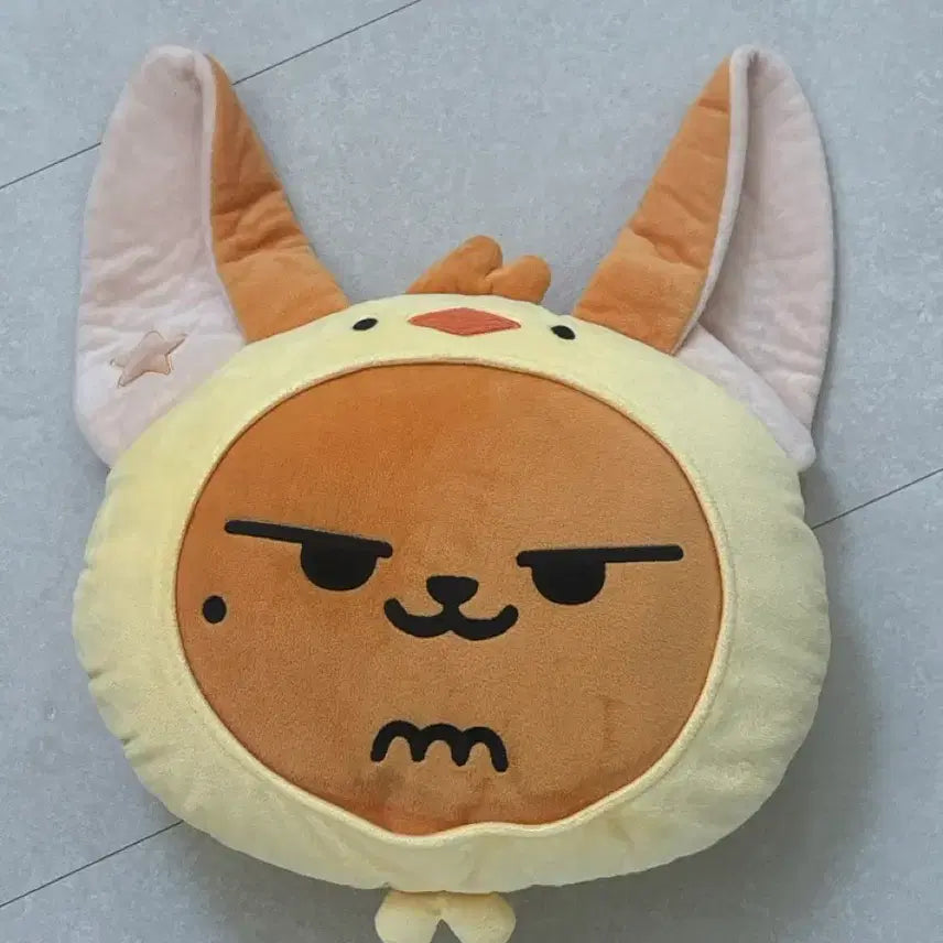 [BUNJANG] Hwangchuni Cushion / 최현준 황춘이 쿠션