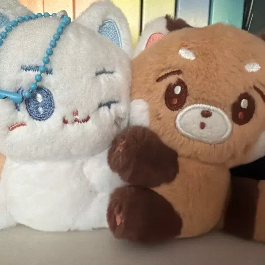 [BUNJANG] ZEROBASEONE Sung Hanbin Zhang Hao Doll / 성한빈 장하오 인형