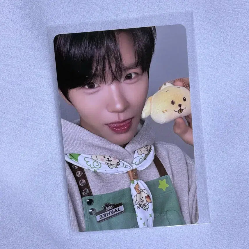 [BUNJANG] NCT WISH Jaehee DDAENG Tree Photocard / 엔시티위시 베이커리 팝업 7만원 포카 트레카 재희 댕트리버