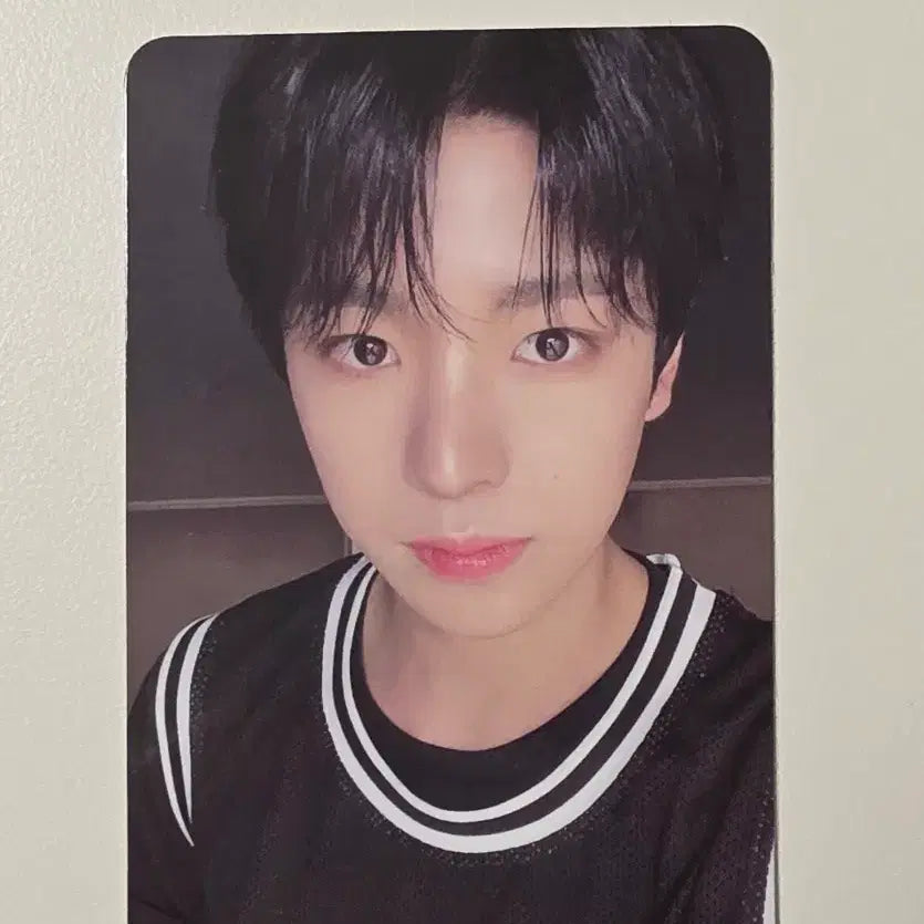 [SOLD OUT] 유우시 Steady QR.ver 포카