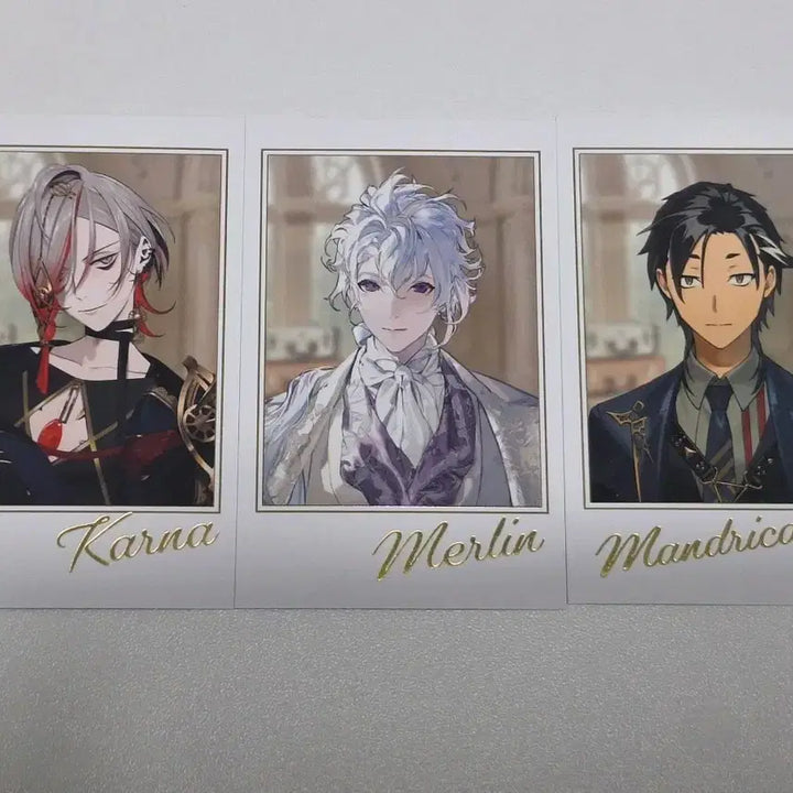 [BUNJANG] Fate/Grand Order Fes. 2025 Portrait Collection Bundle Set / 페그오 FGO Fes. 2025 포트레이트 컬렉션 파샤 일괄 판매
