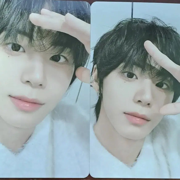 [BUNJANG] AHOF Seo Jungwoo Photocard Set / 아홉 한국 팬콘 포카 세트 서정우