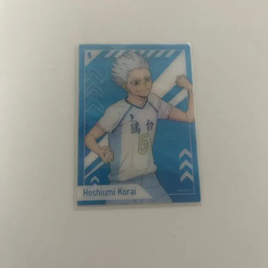 [BUNJANG] Haikyu 10th Anniversary Hoshiumi Clear Card / 하이큐 10주년 기념전 호시우미 클리어 카드