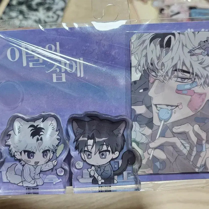 [BUNJANG] Imurui House Mini Pick Set / 이물의집에 미니픽 세트