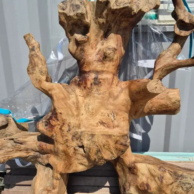 [BUNJANG] Root Sculpture / 나무 뿌리 조형물 / 나무 뿌리 공예품
