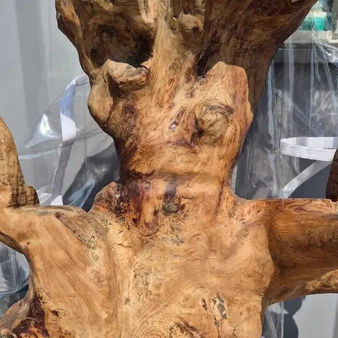 [BUNJANG] Root Sculpture / 나무 뿌리 조형물 / 나무 뿌리 공예품