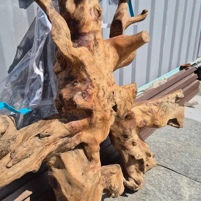 [BUNJANG] Root Sculpture / 나무 뿌리 조형물 / 나무 뿌리 공예품