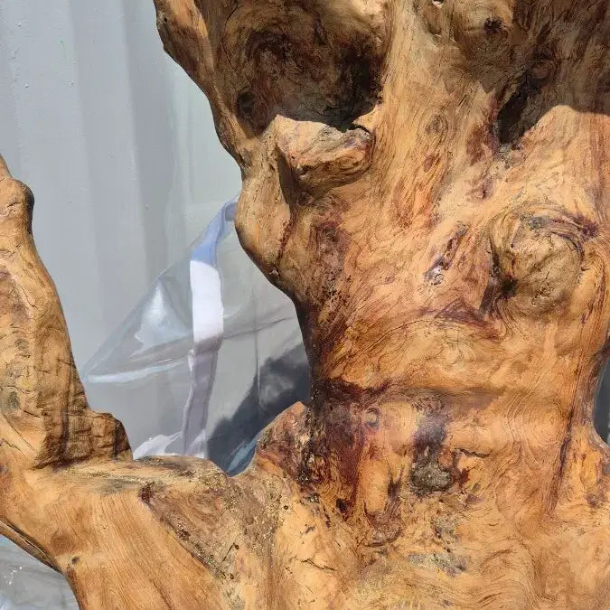 [BUNJANG] Root Sculpture / 나무 뿌리 조형물 / 나무 뿌리 공예품