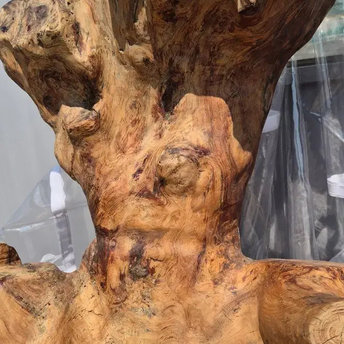[BUNJANG] Root Sculpture / 나무 뿌리 조형물 / 나무 뿌리 공예품