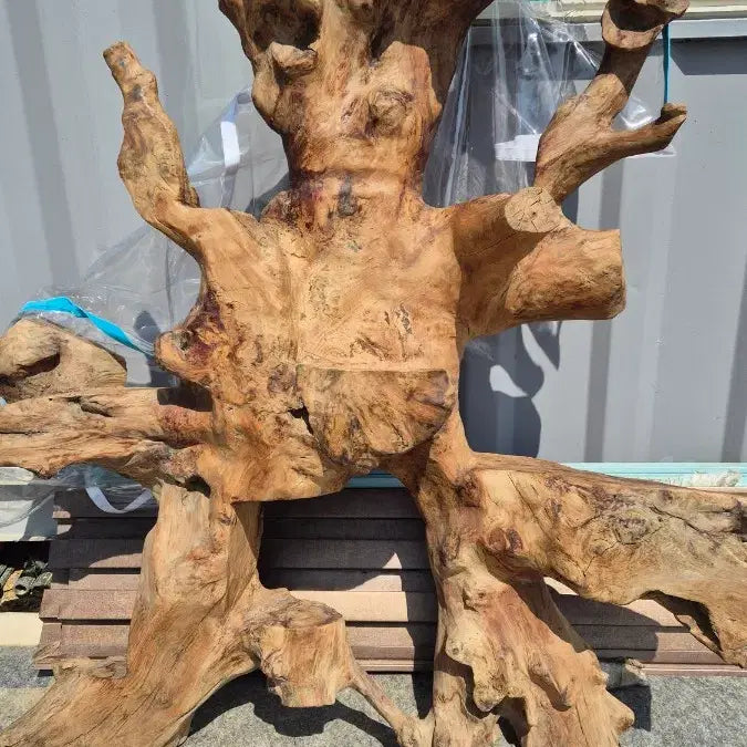 [BUNJANG] Root Sculpture / 나무 뿌리 조형물 / 나무 뿌리 공예품