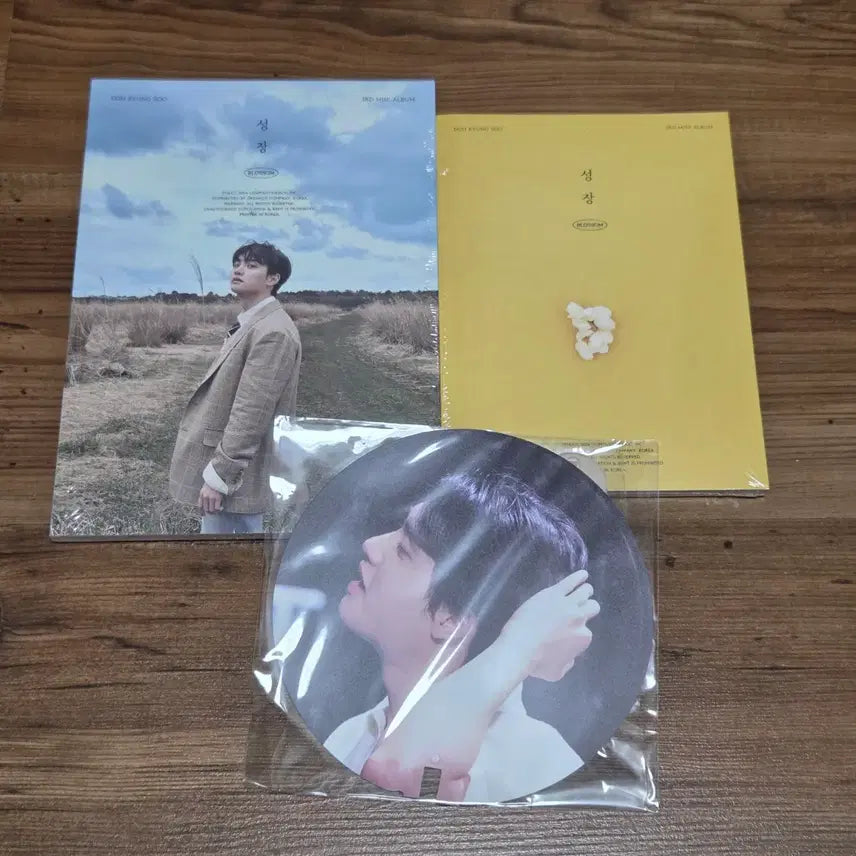 [SOLD OUT] (미개봉/세트) 도경수 3집 성장 마스 팝콘 앨범 엑소 디오