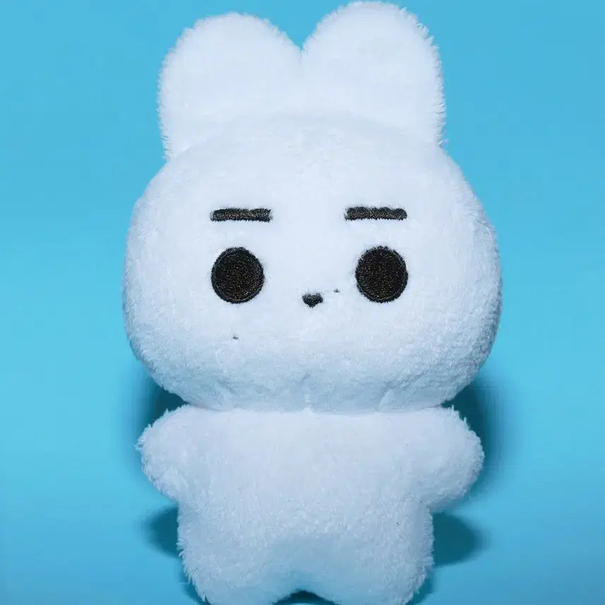 [BUNJANG] ENHYPEN Sunghoon Hongki Doll / 훙끼  판택포
