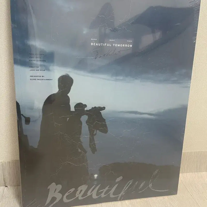 [BUNJANG] Park Hyo Shin Beautiful Tomorrow Booklet / 미개봉) 박효신 뷰티풀 투모로우_북클릿