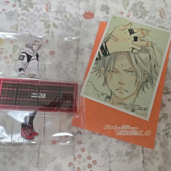 [BUNJANG] Katekyo Hitman Reborn Gokudera Bundle Set / 가정교사 히트맨 리본 고쿠데라 굿즈 일괄판매