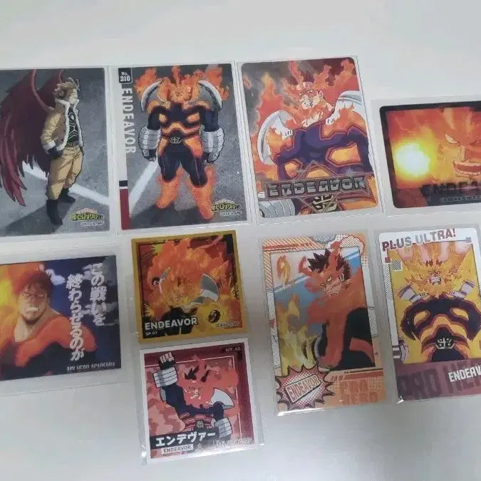 [SOLD OUT] 히로아카 엔데버 호크스 지류 일괄