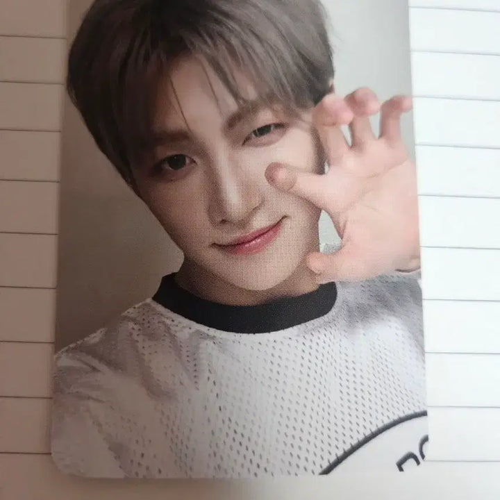 [BUNJANG] TWS VR Photocard / 투어스 vr 포토카드