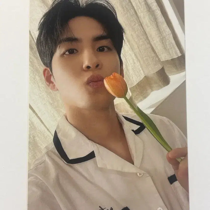 [BUNJANG] DAY6 Wonpil Forever Photocard / DAY6 데이식스 원필 포에버 포카 양도