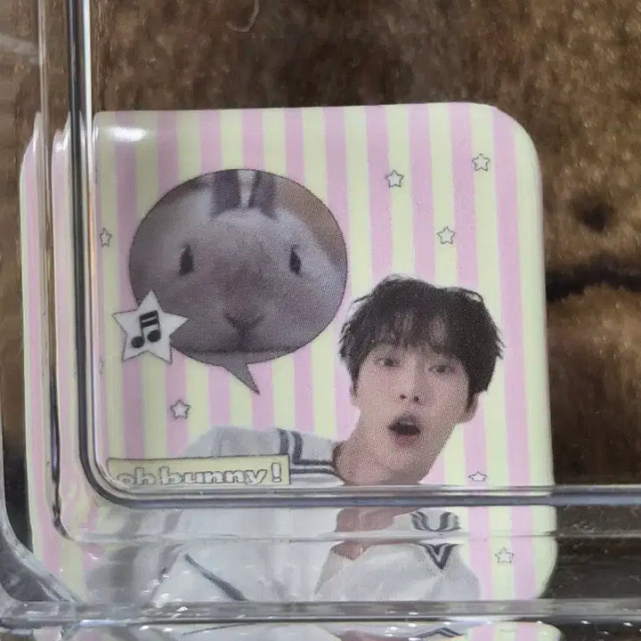 [BUNJANG] NCT Doyoung Birthday Can Badge / 도영 캔뱃지 판매