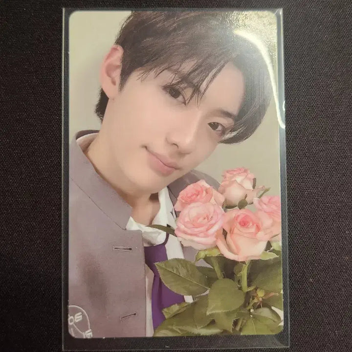 [BUNJANG] Jeong Sang Hyun Photocard Bundle Set / 정상현 포카 양도