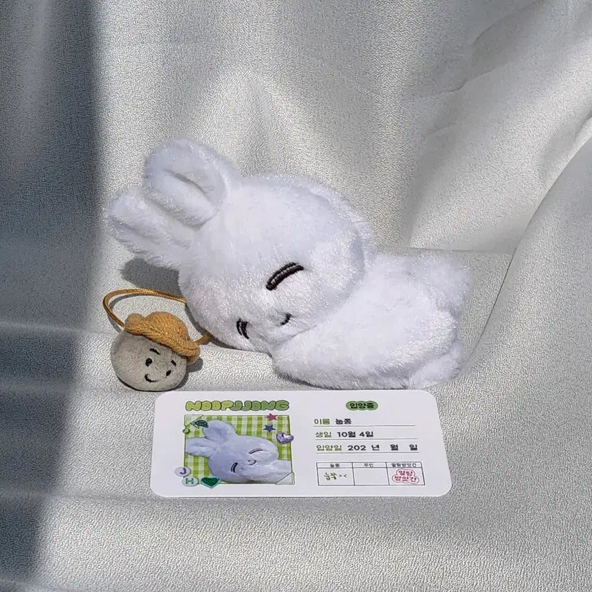 [BUNJANG] SEVENTEEN Jeonghan Doll Bundle Set / 세븐틴 정한 인형 눕쫑 돌쫑