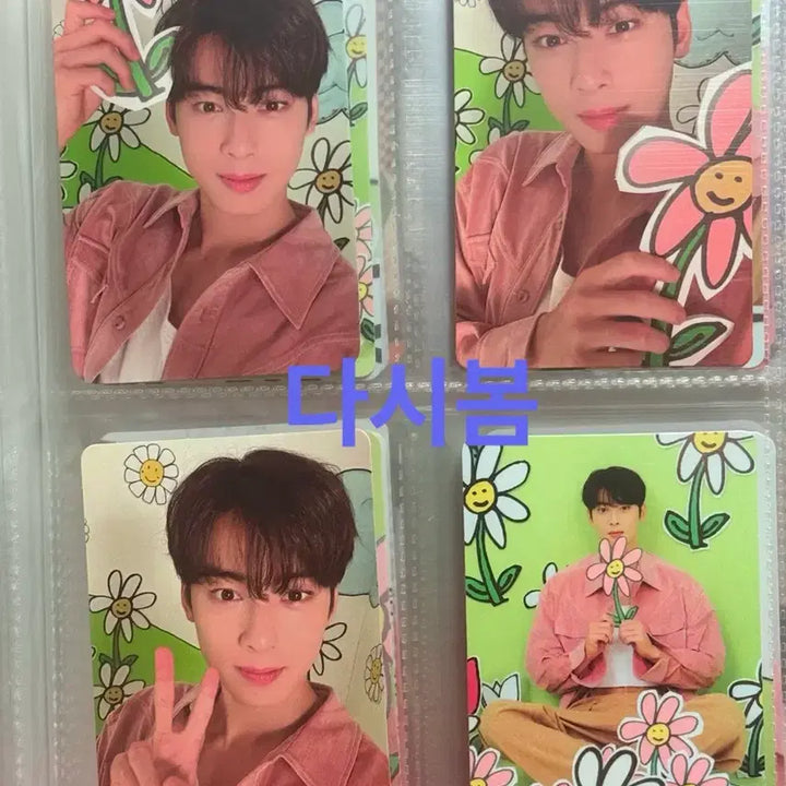 [BUNJANG] Cha Eun-woo 2023 Season&