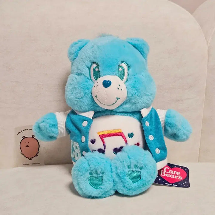 [BUNJANG] Authentic Care Bears High School Bear Mint Plush Toy / 정품 케어베어 하이스쿨 인형 민트