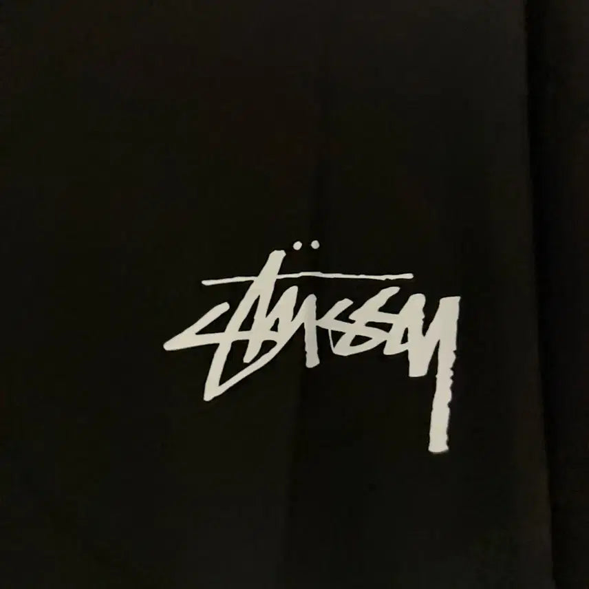 [BUNJANG] Stussy Dice T-Shirt Black / 스투시 다이스 티셔츠 블랙