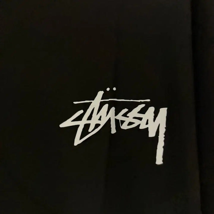 [BUNJANG] Stussy Dice T-Shirt Black / 스투시 다이스 티셔츠 블랙