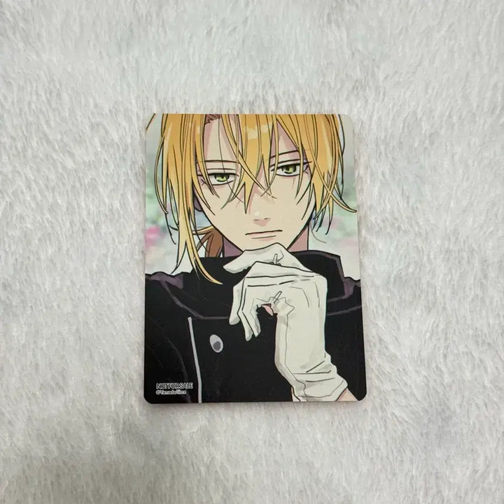 [BUNJANG] Tashiro Mitsuki Photocard / 타시로 너란 녀석은 세가 미츠키 포카