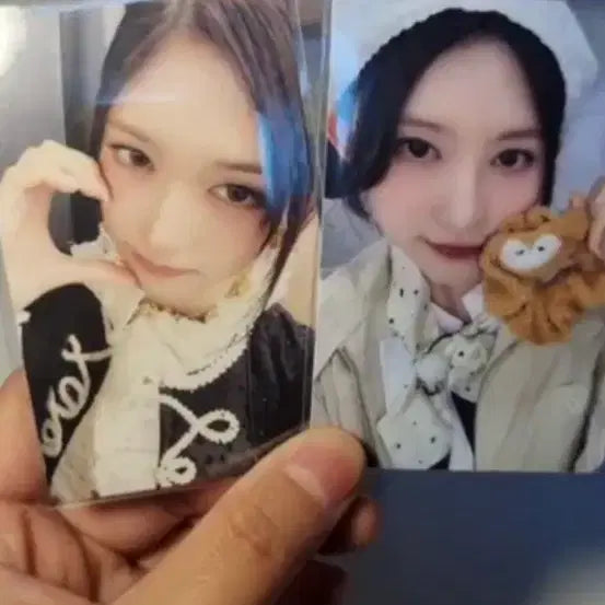 [BUNJANG] IVE Photocard / 아이브 포카 양도!