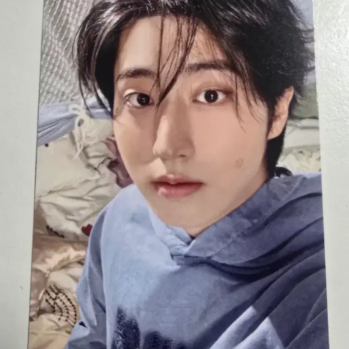[BUNJANG] Stray Kids Fanmeeting Online MD Han POB Photocard / 스키즈 스트레이키즈 팬미팅 온라인 MD  특전 포카 한